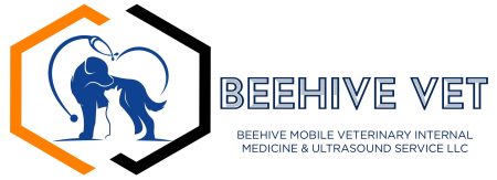 Beehive Vet Mobile Internal Medicine & Ultrasound Service LLC Logo